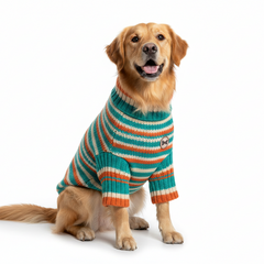 Collection image for: Dog Apparel