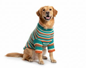 Collection image for: Dog Apparel