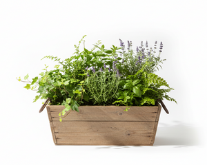 Collection image for: Outdoor