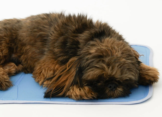 Self-Cooling Pet Mat - No Water or Electricity Needed