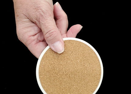 Fruit Design Sandstone Coasters Set of 4 – Absorbent Drink Coasters for Home