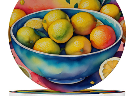 Fruit Design Sandstone Coasters Set of 4 – Absorbent Drink Coasters for Home