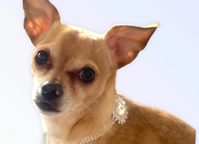 Silver Rectangle Burst Stone