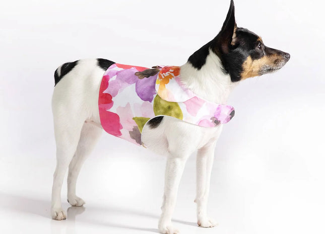 DCNY Pink Vest Dog Harness - Fine Art Frolic Pattern