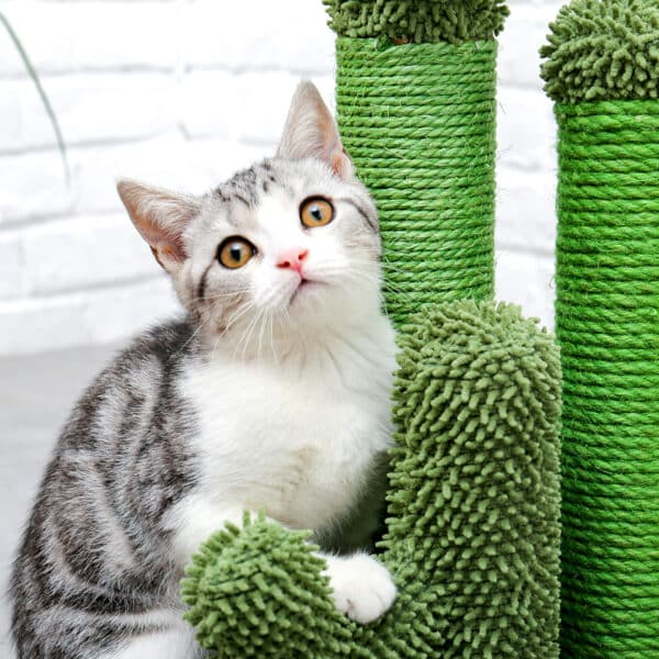 Cactus Cat Scratcher