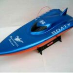 Balaenoptera Musculus Racing Boat