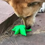 Colorado "Maple Leaf" Durable Nylon Dog Chew Toy for Aggress