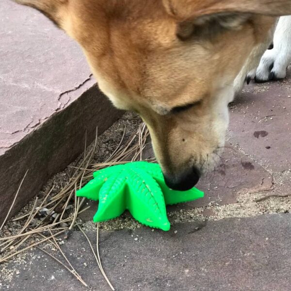 Colorado "Maple Leaf" Durable Nylon Dog Chew Toy for Aggress