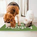 Always Hungry Pet Food Mat - Funny Anti-Slip Pet Bowl Mat - Best Design Pet Feeding Mat