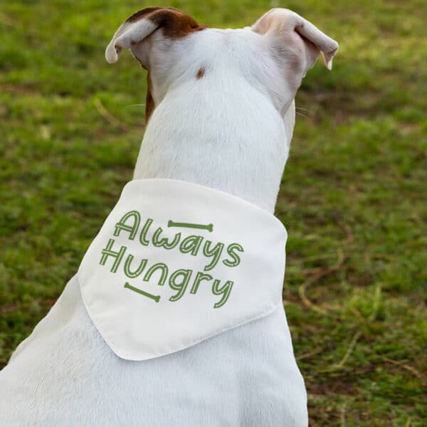 Always Hungry Pet Bandana Collar - Funny Scarf Collar - Best Design Dog Bandana