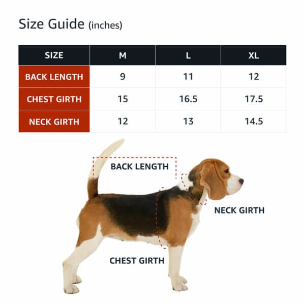 Free Kisses Dog Denim Jacket - Word Print Dog Denim Coat - Minimalist Dog Clothing