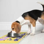 Cute but Unstable Pet Food Mat - Funny Design Anti-Slip Pet Bowl Mat - Graphic Pet Feeding Mat