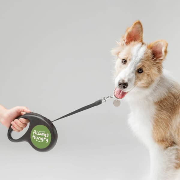 Always Hungry Retractable Pet Leash - Funny Leash - Best Design Dog Leash