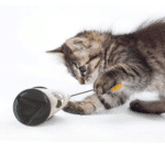 Cats Tumbler Swinging Ball