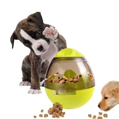 Interactive Food Dispenser for Cats and Dogs - Keeping Your Furry Friends Happy and Healthy