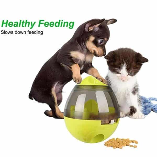 Interactive Food Dispenser for Cats and Dogs - Keeping Your Furry Friends Happy and Healthy
