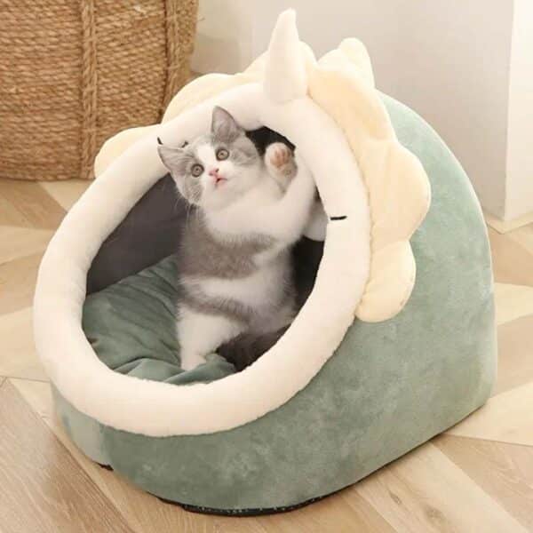 Roar-ingly Cute: Cat Adorable Dinosaur Pet House with Bonus Toy