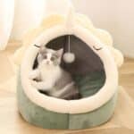 Roar-ingly Cute: Cat Adorable Dinosaur Pet House with Bonus Toy