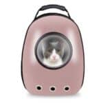 Air-Mesh Pet Backpack: Comfortable & Breathable Travel Carrier for Your Furry Friend.