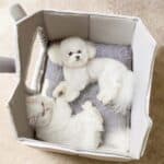 Cozy Retreat: Removable Roof Plush Pet House for Your Furry Friend