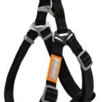 Touchdog 'Macaron' 2-in-1 Durable Nylon Dog Harness and Leash Combo - Stylish and Secure Pet Walking Set for Small to Large Breeds