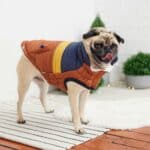 Vintage Charm Meets Cozy Comfort: Retro Puffer - Hazel Dog Jacket for Stylish Pets