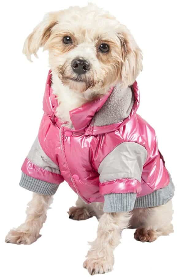 Stay Stylish on the Slopes with our Sporty Vintage Aspen Pet Ski Jacket - Cozy and Fashionable Outerwear for Your Furry Friend